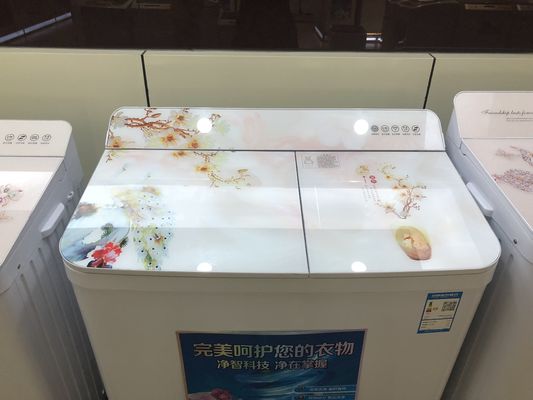 隠されたパネルが付いている住宅の対のたらいの特大の天井荷重の洗濯機 サプライヤー